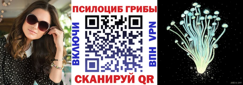 Псилоцибиновые грибы MAGIC MUSHROOMS  Кольчугино 